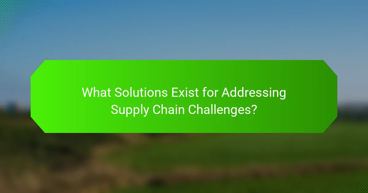 What Solutions Exist for Addressing Supply Chain Challenges?